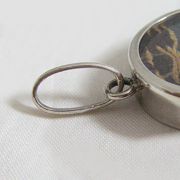 (p1143)Silver pendant with interior image.